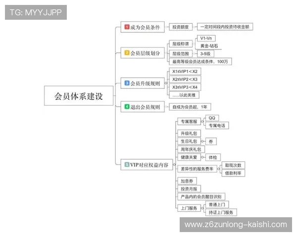尊龙网平台的会员体系与级别提升攻略