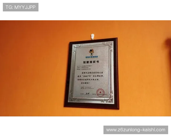 衡量尊龙集团会员注册价值的几个重要因素