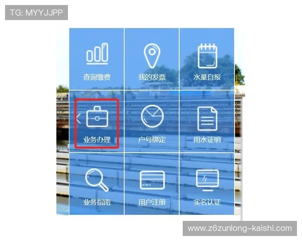 凯时线上开户指南全面解析让你轻松完成注册流程快速入场